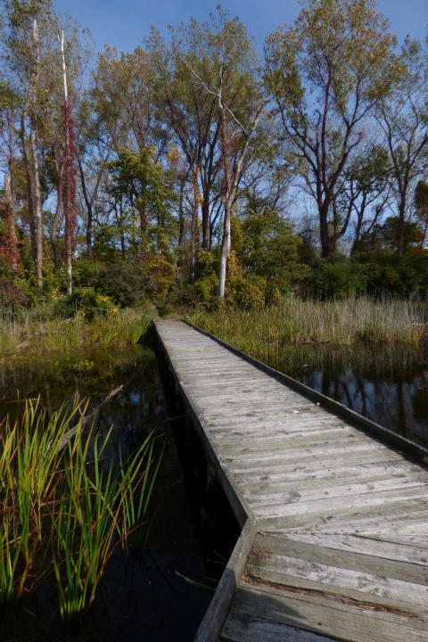 EH Boardwalk_small