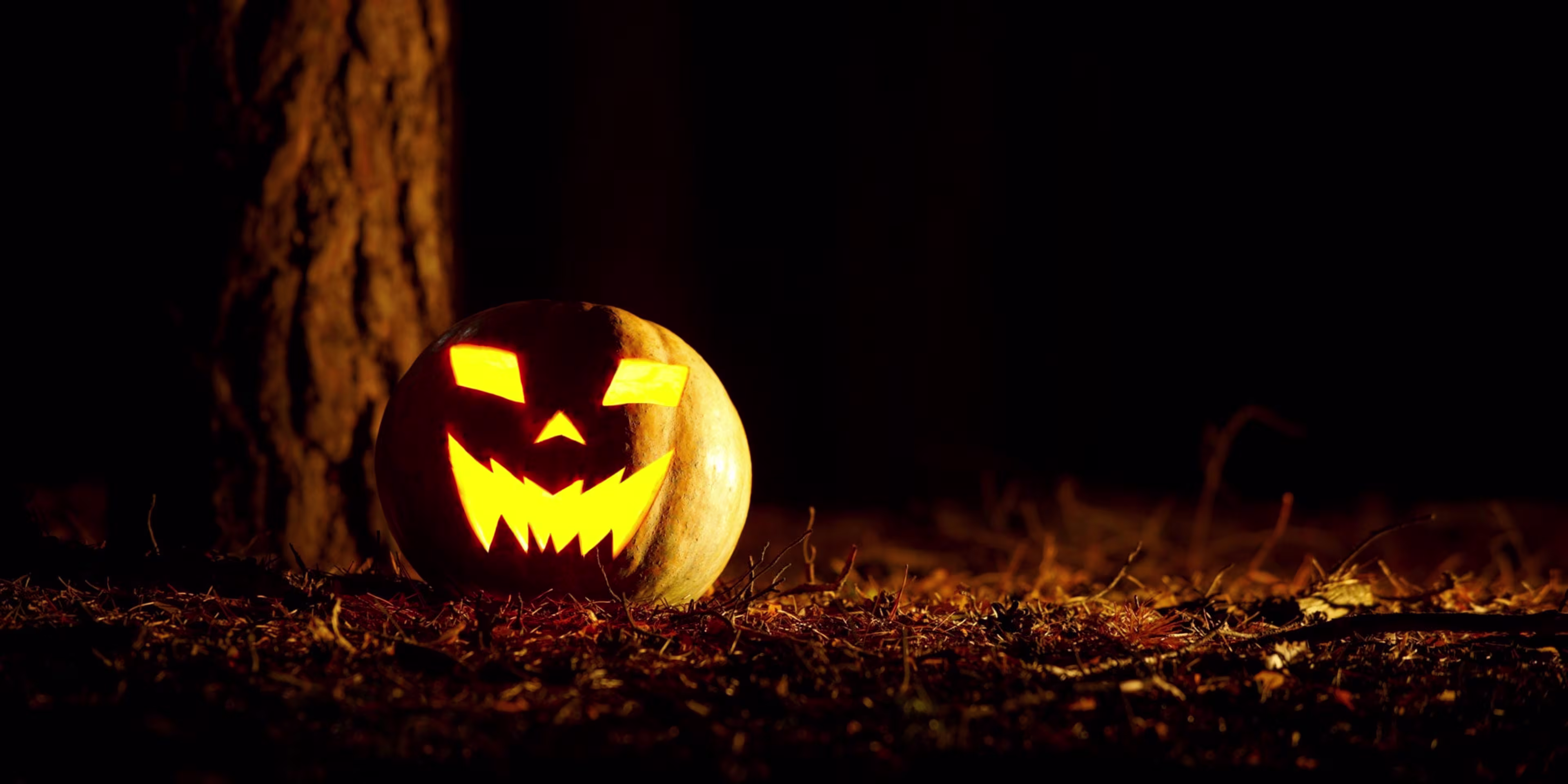 Jack o lantern on a trail lit up at night