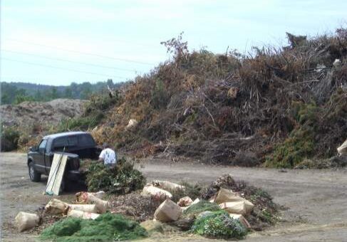 Brush Drop Off Brush Drop Off